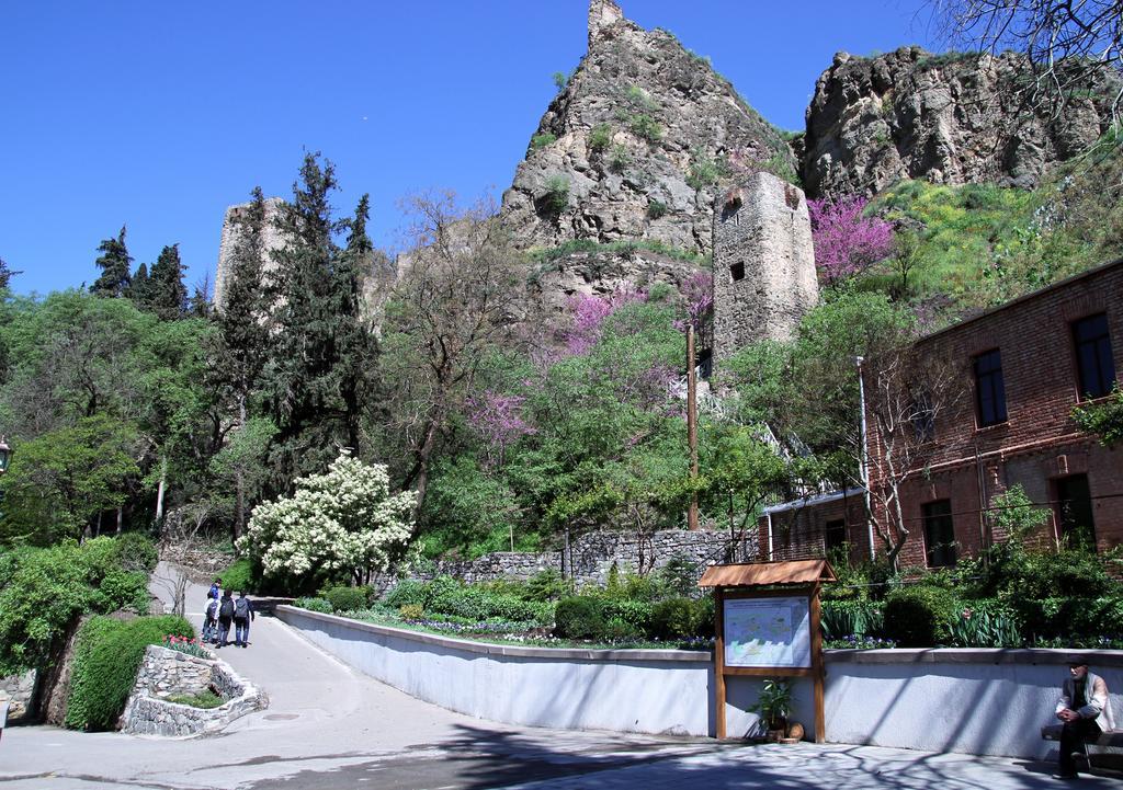 טביליסי Apartment On Botanikuri חדר תמונה
