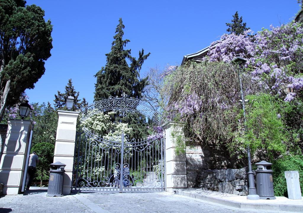 טביליסי Apartment On Botanikuri חדר תמונה